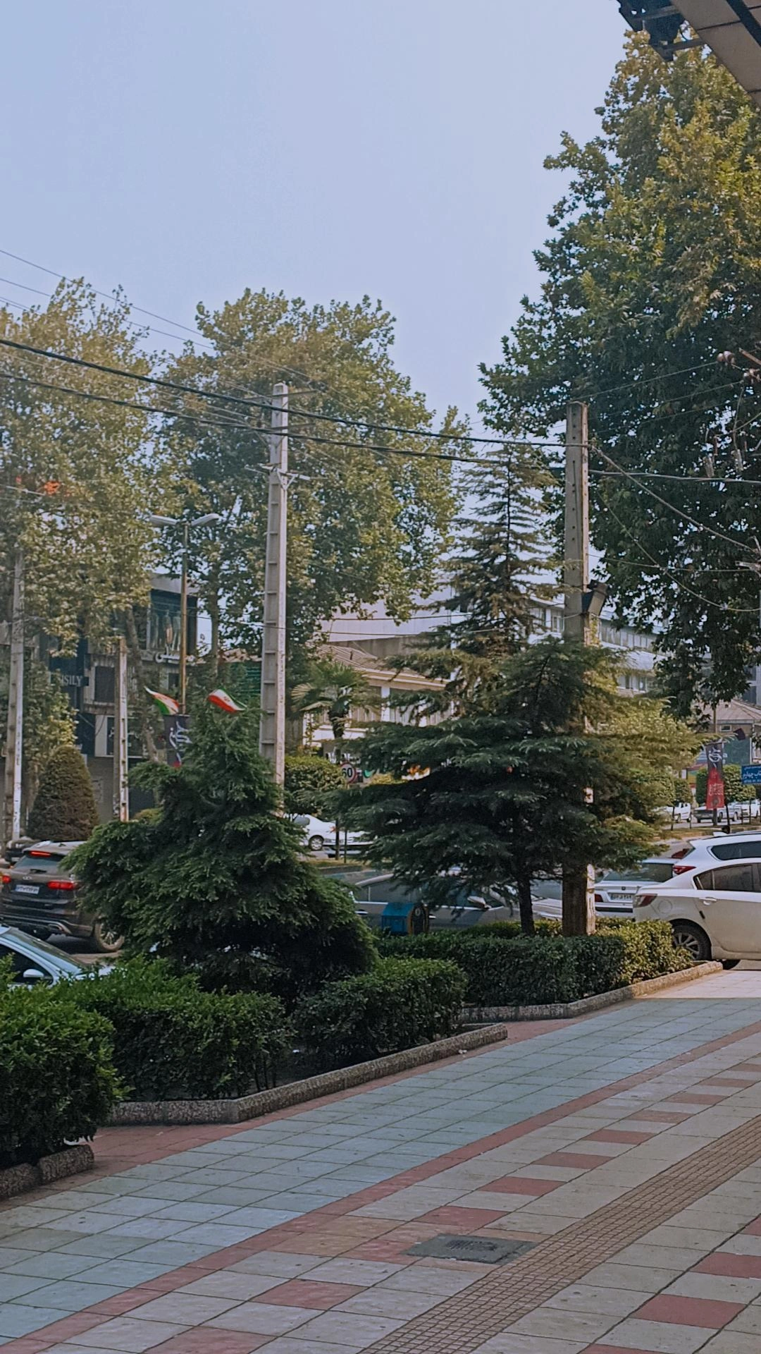 امروز بر خلاف هر روزه، یکم ابری بود و باد میومد. اما باد هم دلمرده بود. انگار یه پنکهی چهل ساله رو مجبور کرده باشی جهنمو خنک کنه. نمیدونم چرا همچین مثالی رو زدم. عجیبه.