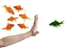 استریوتایپ