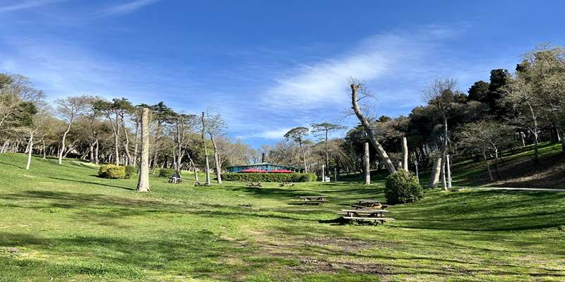 پارک ییلدیز