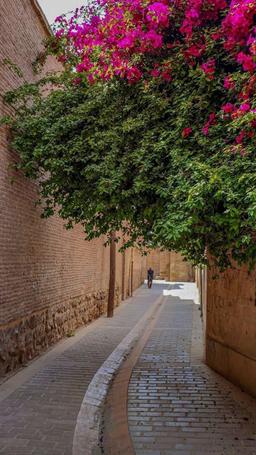 سبز؟ نه سرخابی