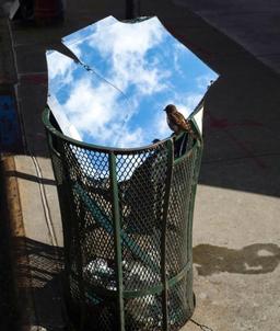 سرنوشت... سرنوشت؟