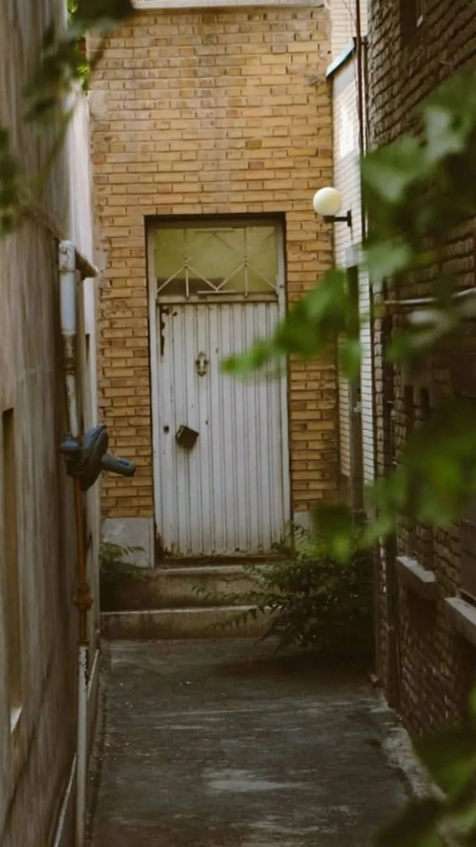 عروسک‌ها همه چیز را به خاطر دارند