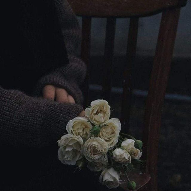 در آشفتگی نور می‌تابد