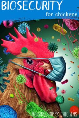 امنیت زیستی در پرورش طیور محلی