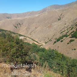 ملک طالش امامزاده سید جبرئیل