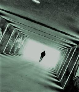 ابدیت روحِ زندگی در جامه ی انسانیت