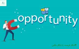 شباهت شکار فرصتها با شکار مگس