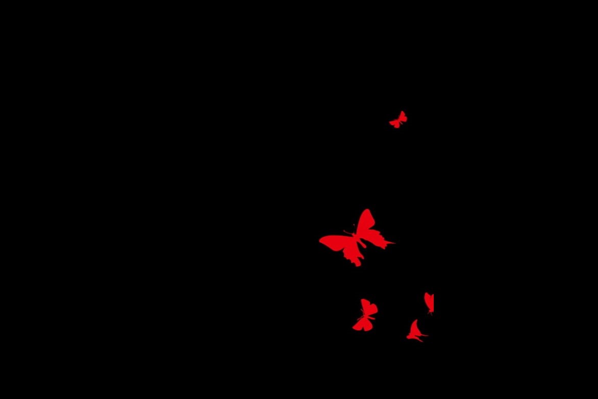 مختوم توام؛ چون پروانهی آغشته به خون