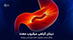 درمان گیاهی میکروب معده