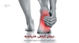 درمان گیاهی خارپاشنه