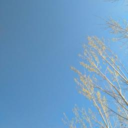 هر روز و هر ساعت