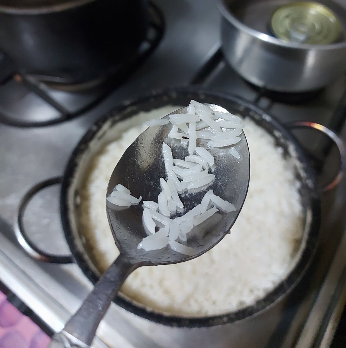 برنج با حشرات خوشمزه