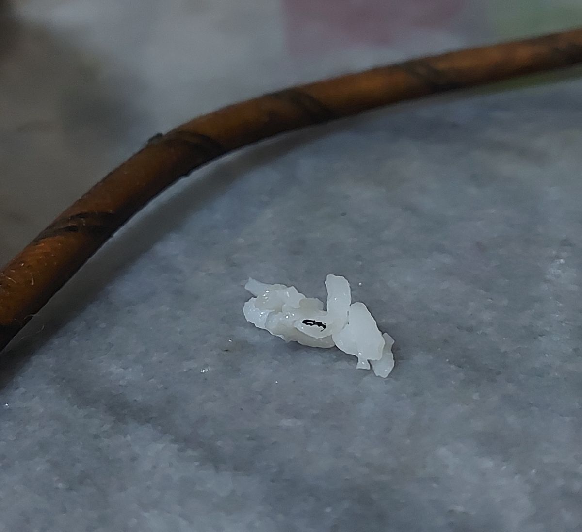 برنج با حشرات خوشمزه