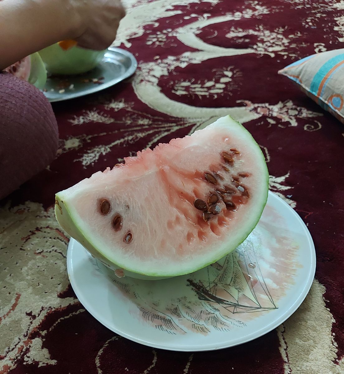 نون و هندونه