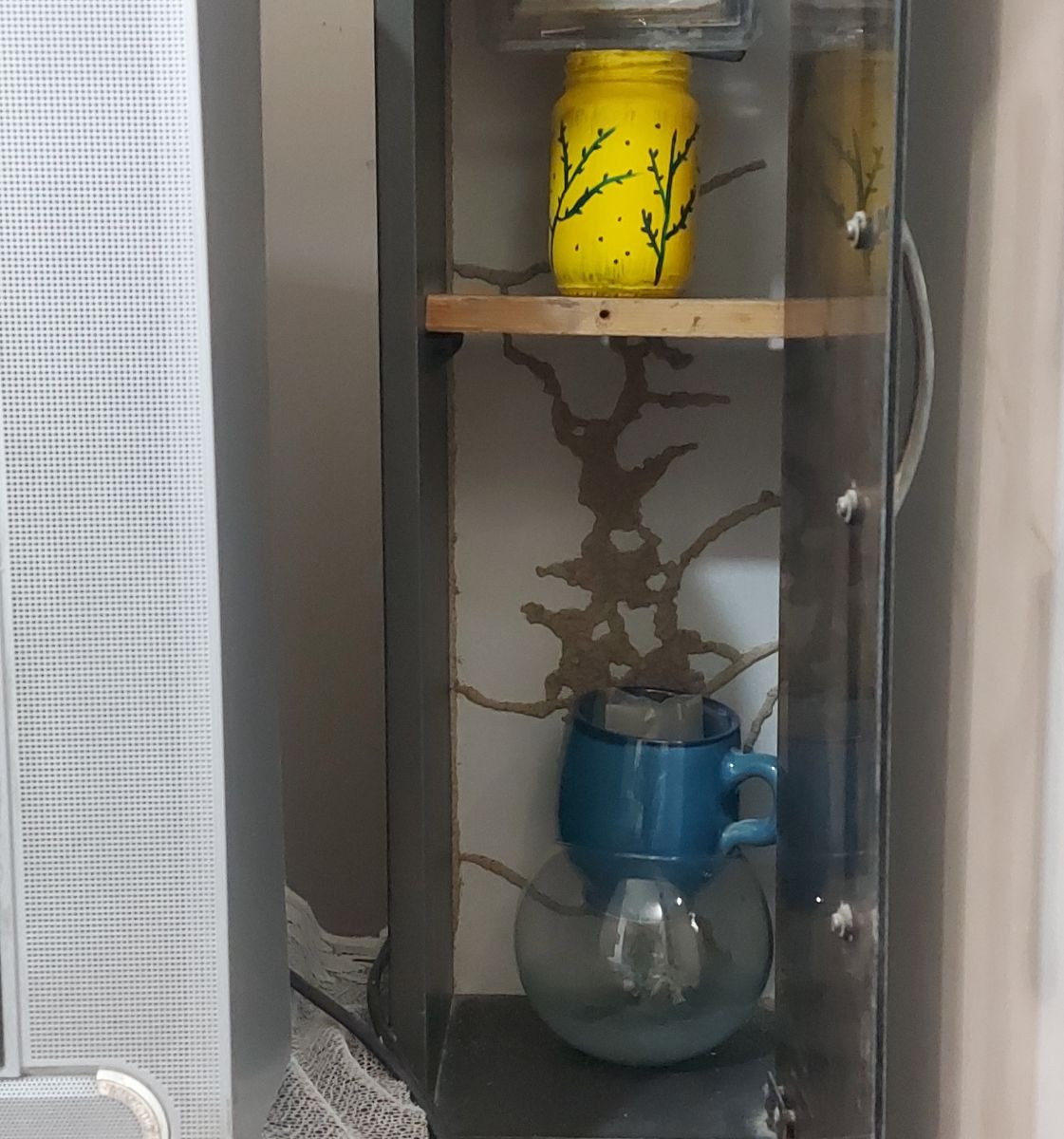 میز تلویزیون شاهکار موریانه‌ها 