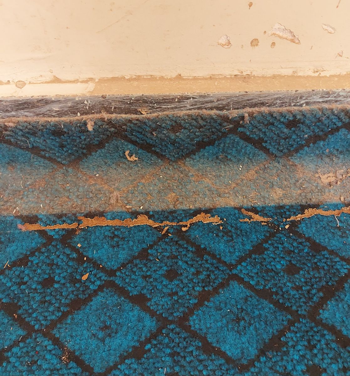 موریانه روی فرش 