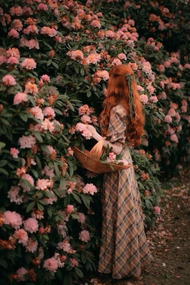 یک شعرقدیمی برای یک خاطره قدیمی