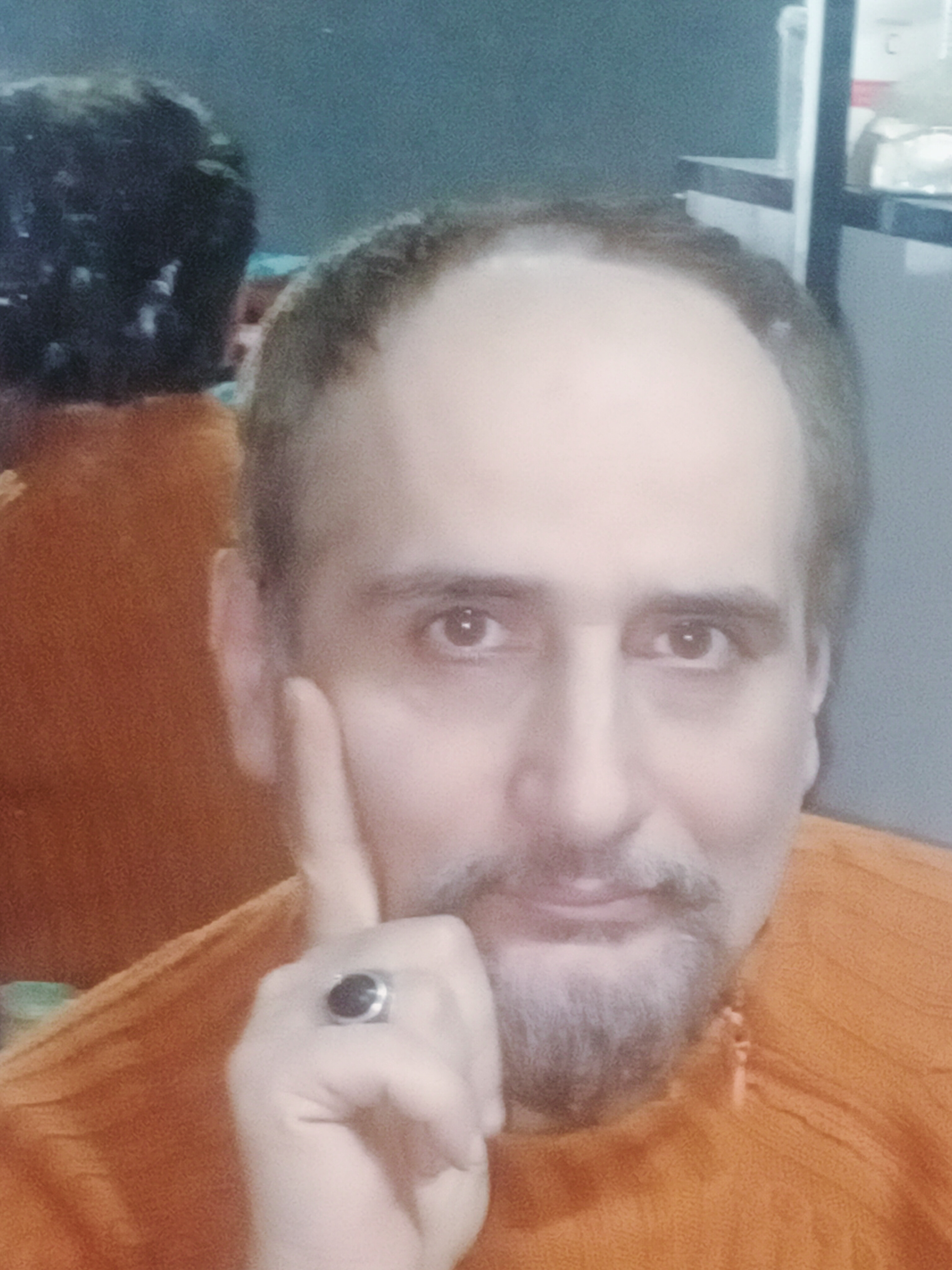 پرنده ای در روشنی بامداد