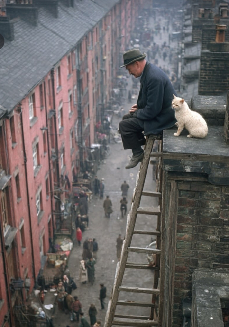 در کوچه های گم