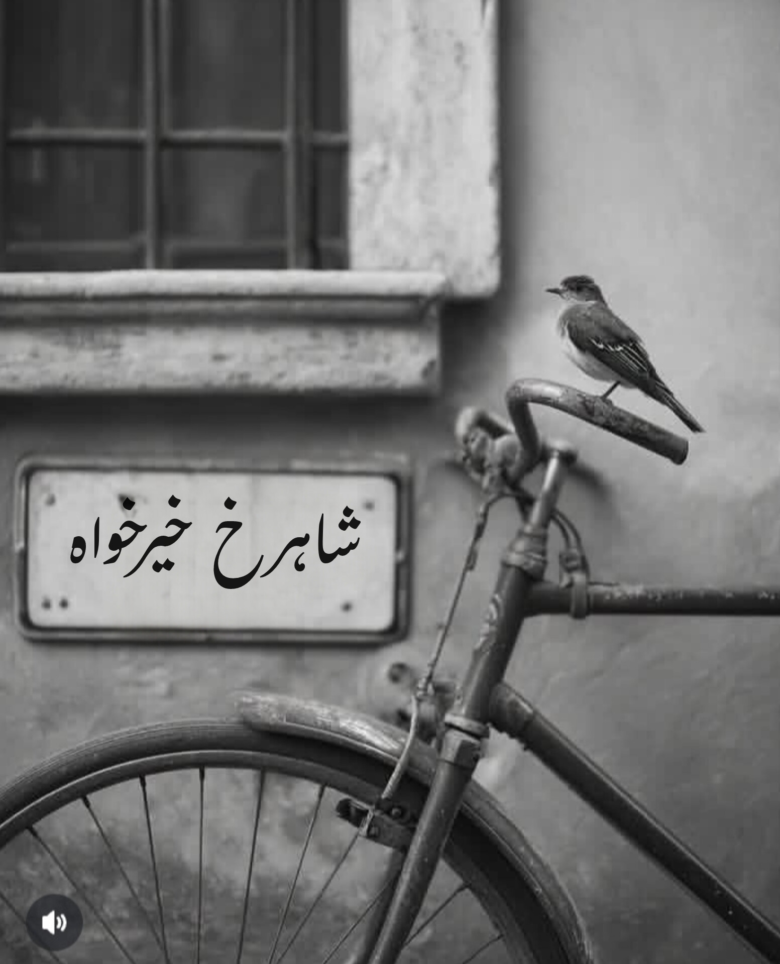 زمستان کش دار