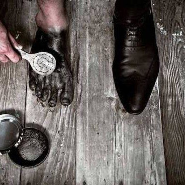 قانون زیبا ..