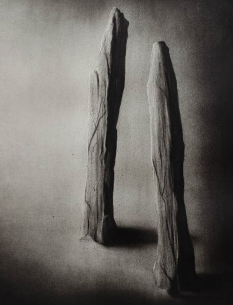 دگردیسی۲۲بهمن