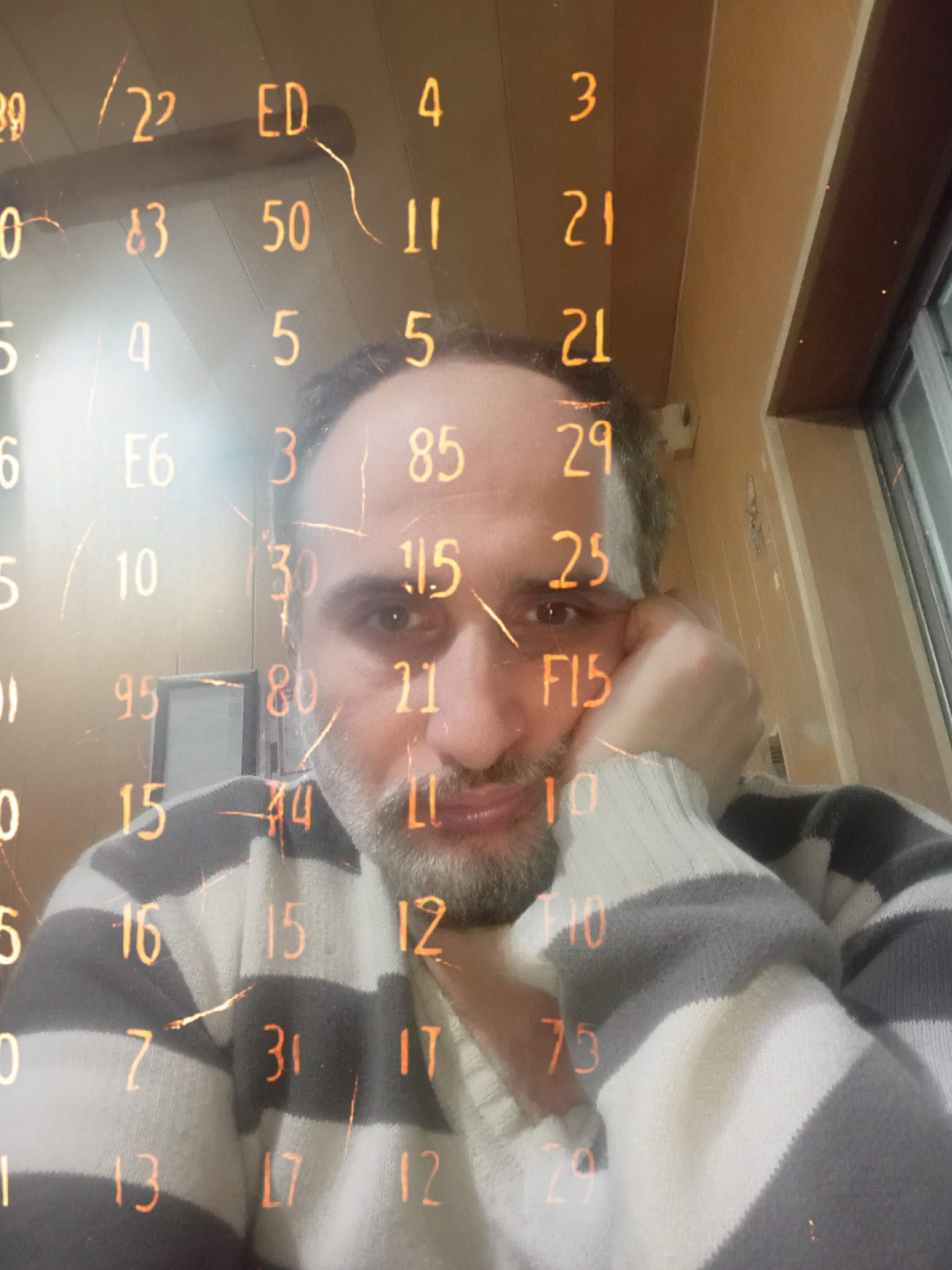 بال کبوتر بر خاک