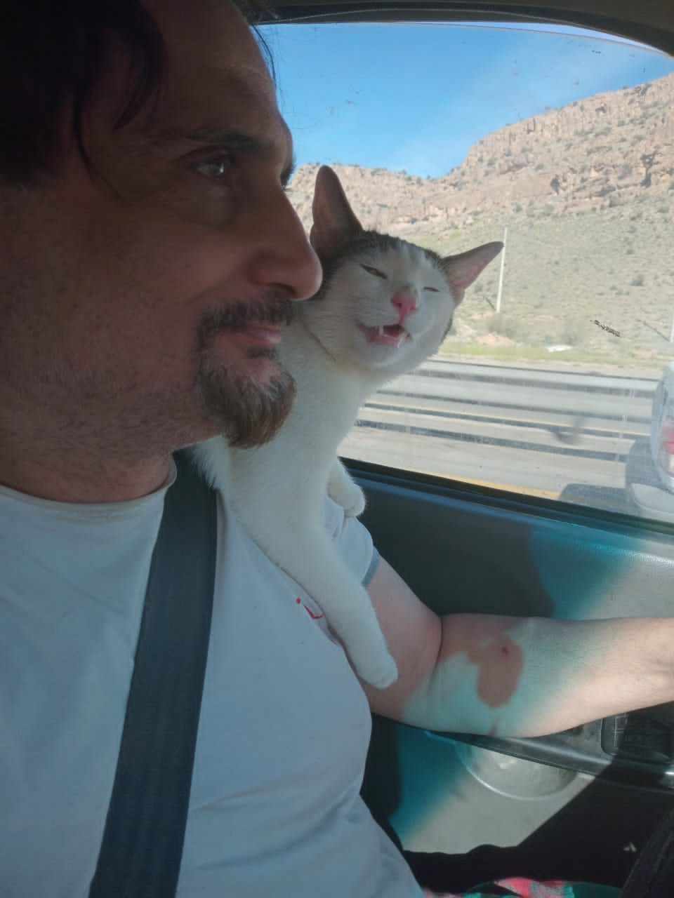 معجزه معکوس