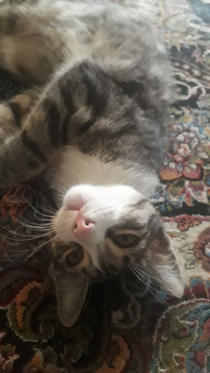 آنها همه را