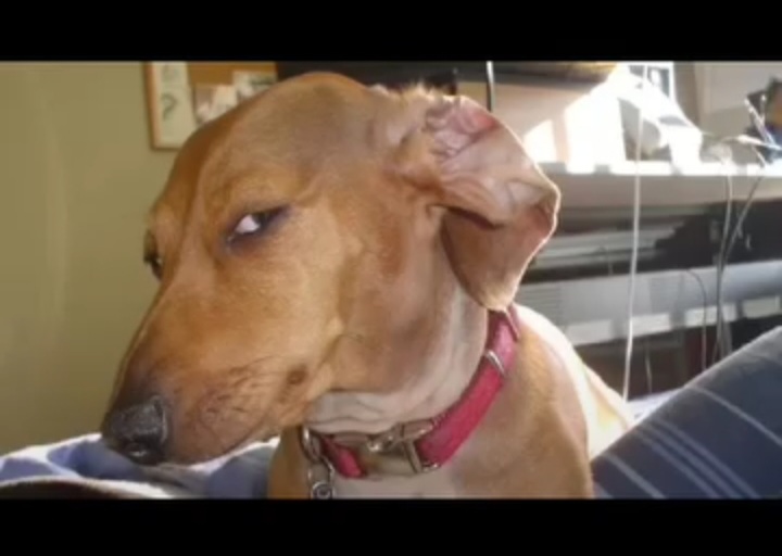 ظالم تر ازظالم مظلوم