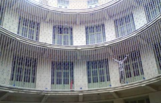 هر بال حق پرواز دارد