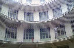 هر بال حق پرواز دارد