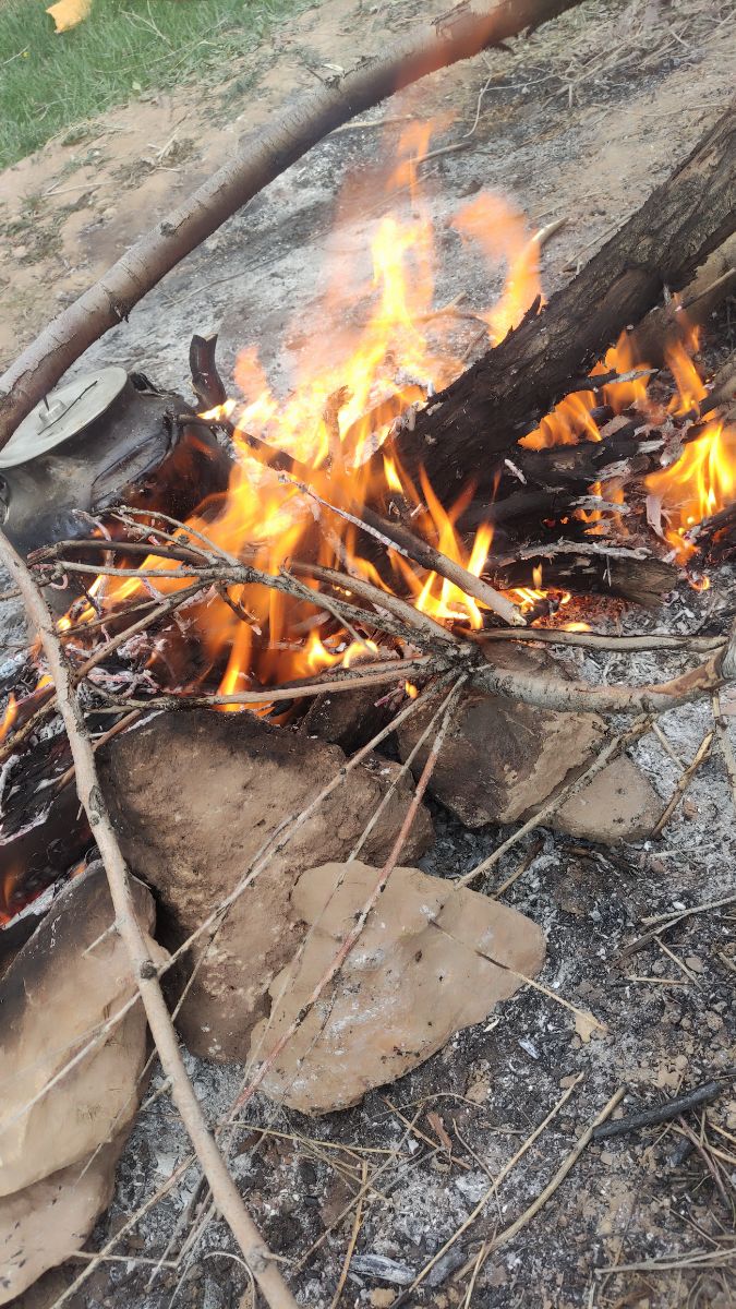 عکس خاصی نداشتم، از آخرین عکسای گالریم که مربوط به سیزده بدر بود استفاده کردم👀