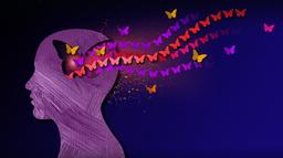 آرایش ذهن :تخیل کن (روز دوم)