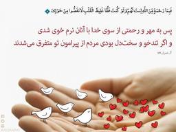 مسئولیت، برابری، و حق انتخاب