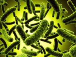 پروبیوتیک ها، مواد غذایی معجزه آسا