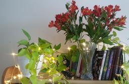 در ستایش افسردگی: بخش هفتم، افسردگی بسیار باشکوه است