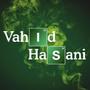 vahid hasani