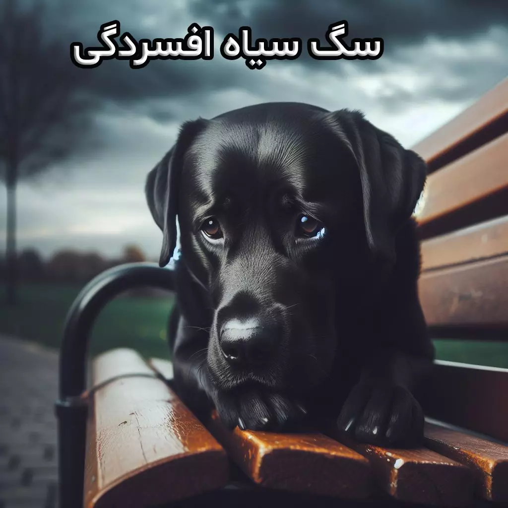 سگ سیاه افسردگی چیست؟