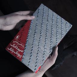 شش دانگ امیرخانی،«نیم دانگ پیونگ یانگ»