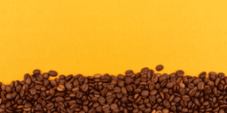 12 کافی شاپ مدرن در جهان!!!