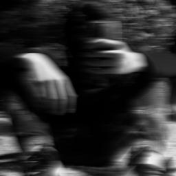 پروف آرمین پسرانه