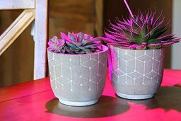 انواع لامپ رشد گیاه