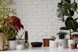 لامپ رشد گیاه چیست؟