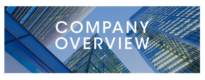 company overview