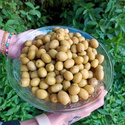 منو محصولات مزه فمیلی