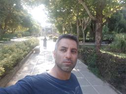 مواد غذایی ضد پیری