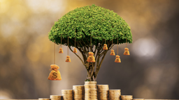 چگونه با آموزش مالیات، یک شغل پولساز خواهید داشت؟