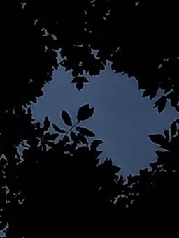 بی‌نهایتی از جنس من