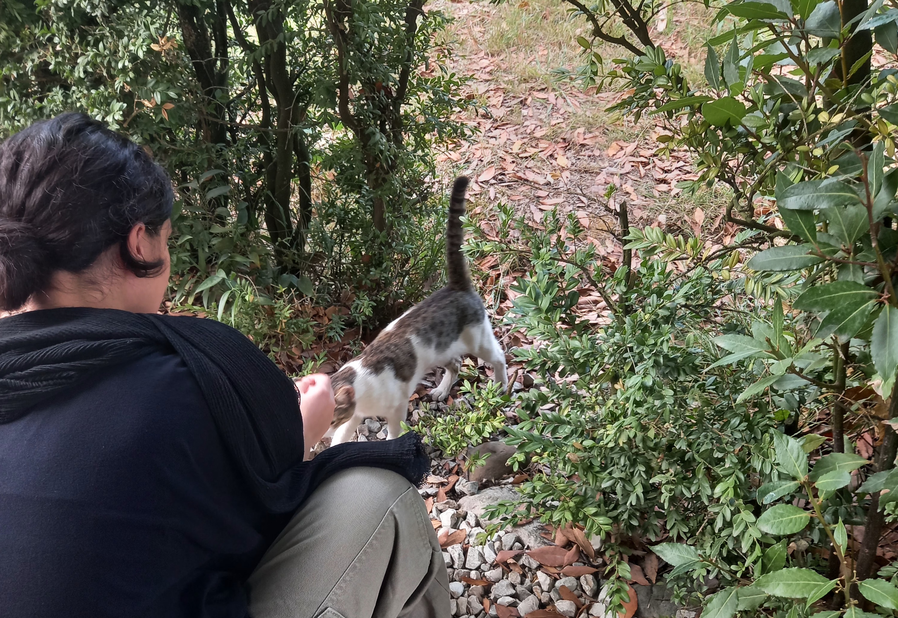 بهترین بخش یه سفر کوتاه:)